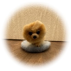 うちのコ　愛犬　羊毛フェルトいぬ　ドッグベッドシリーズ　ポメラニアン　ハンドメイド犬　chimaいぬ 1枚目の画像