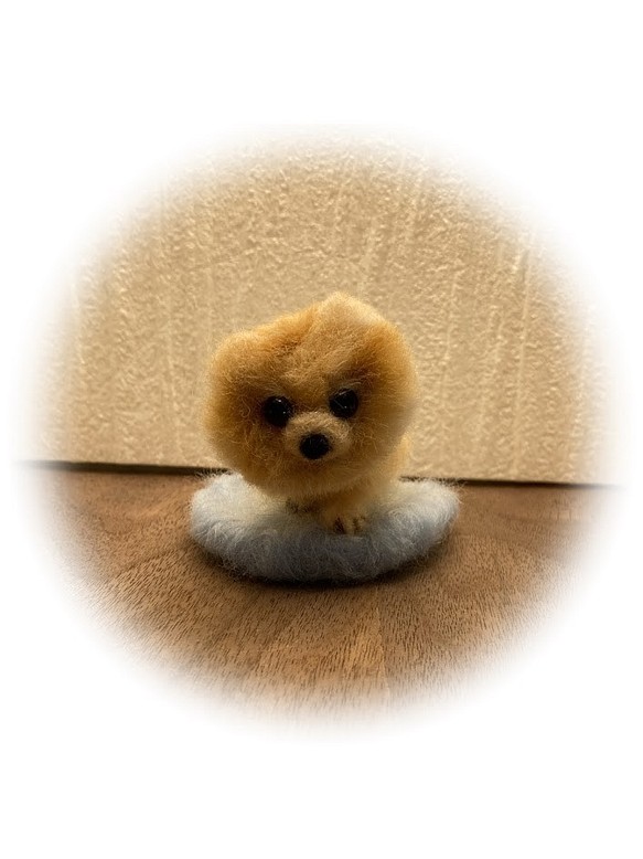 うちのコ　愛犬　羊毛フェルトいぬ　ドッグベッドシリーズ　ポメラニアン　ハンドメイド犬　chimaいぬ 1枚目の画像