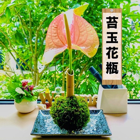 母の日のプレゼント 苔玉 花瓶 一輪挿し 花瓶 花器 Moribito 通販 Creema クリーマ ハンドメイド 手作り クラフト作品の販売サイト