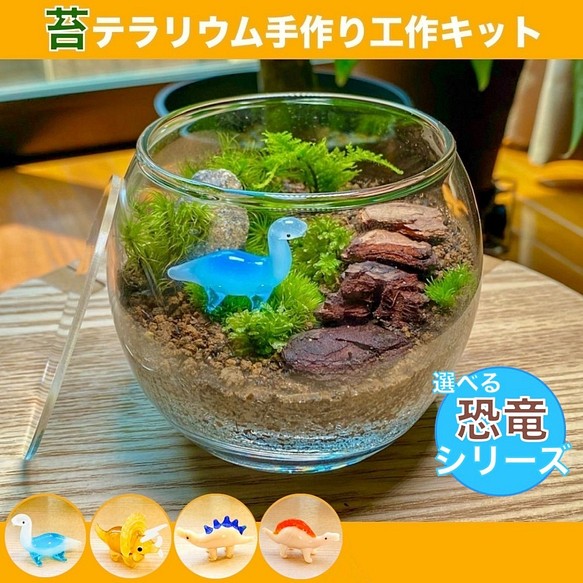 恐竜 苔テラリウム 苔リウム 手作り工作キット 冬休み 小学校高学年 キット セット ハンドメイド Tmnlab Com