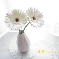 ❁Black Core・Off-White Clay Flower Gerbera 2 件套，室內花，單花瓶❁ 第1張的照片