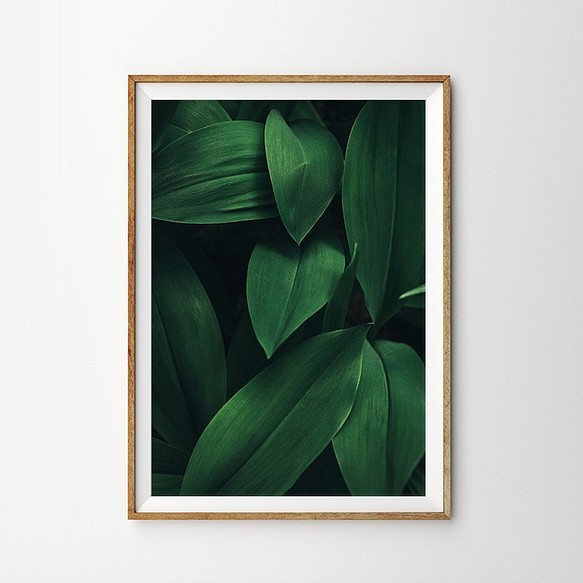 DEEP GREEN 葉 植物おしゃれポスター 1枚目の画像