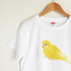 p-jet　ほわっとした セキセイインコ ルチノー  Tシャツ　 / 鳥 1枚目の画像