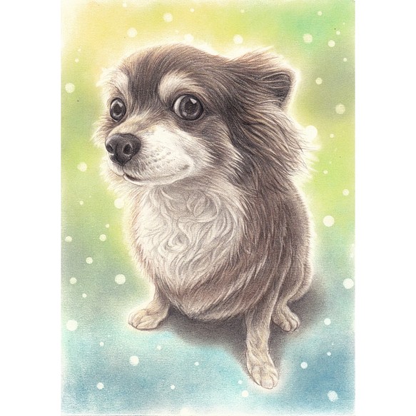 犬の似顔絵‐パステル＆色鉛筆 展示① (犬 猫 動物イラスト 水彩画