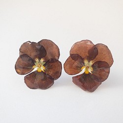 ビオラ　チョコレート　クリップイヤリング✳︎生花のアクセサリー  1枚目の画像
