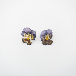 ビオラ　ミニ　パープル　ピアス✳︎生花のアクセサリー 1枚目の画像