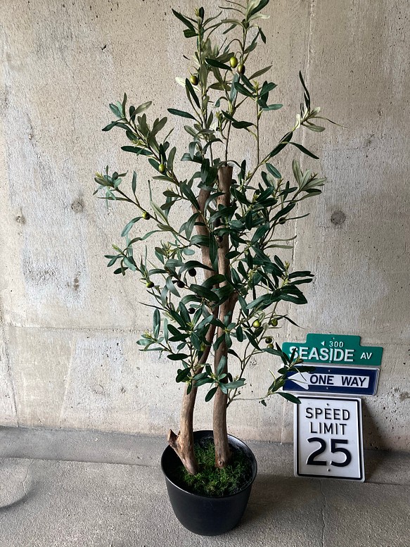 光触媒 人工観葉植物 ウォールグリーン 造花 アレンジ オリーブ120 ...ドライフラワー 5308円