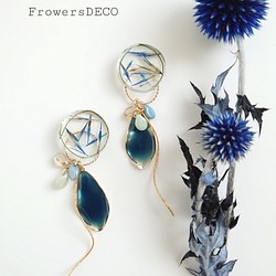 冰藍色的花和葉 第1張的照片