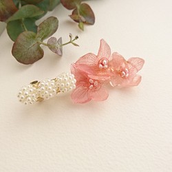 繡球平平秋櫻花色和淡水珍珠【瓦萊塔】Msize 第1張的照片
