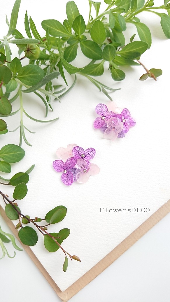 盛開的繡球花柔和的紫色漸變（可更換鈦耳環和零件） 第1張的照片