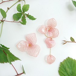 繡球花或紅櫻桃粉[耳環/零件多變] 第1張的照片