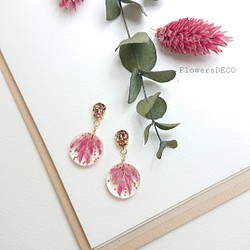 金絲雀種子·一個穿孔耳環【可換鈦金耳環/耳環】玫瑰 第1張的照片