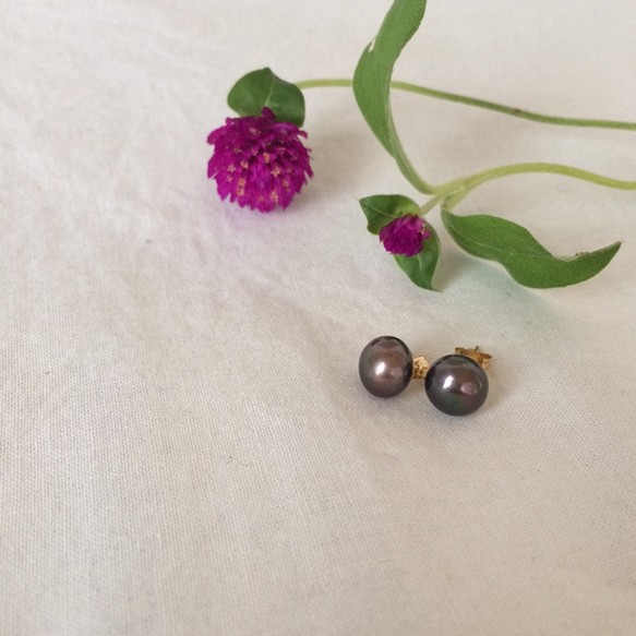 【14kgf】Black Pearl Studs Earrings 1枚目の画像
