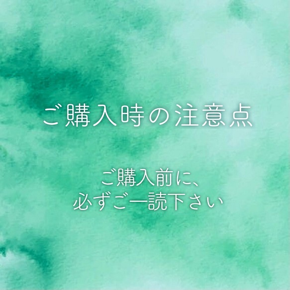 ご購入時の注意点 】ご購入の前に必ずご一読下さい。 ピアス（その他