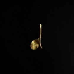 brass leaf studs earring 1枚目の画像