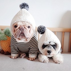 犬服　冬服　パーカー　フレンチブルドッグ　トイプードル　シュナウザー　柴犬　パグ 1枚目の画像
