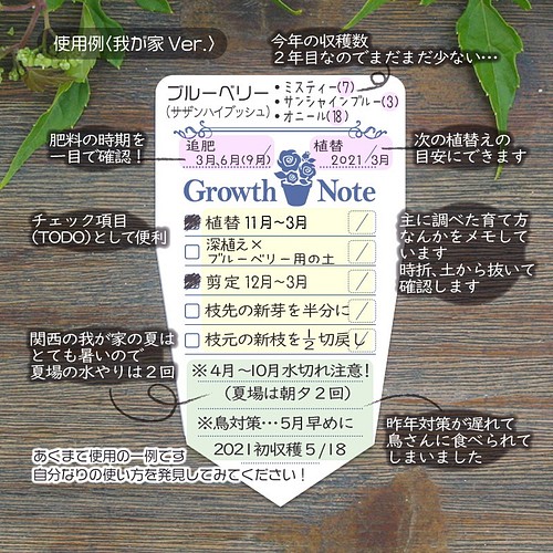 植物の成長を記録し可愛く管理するメモラベル Growth Note 育成ノート L ５枚入り フラワーラベル 植物大好き 表札 ネームプレート 時時 Tokidoki 通販 Creema クリーマ ハンドメイド 手作り クラフト作品の販売サイト