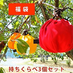 【2019幸運袋】水果束口袋【小】與Hold持相比 第1張的照片