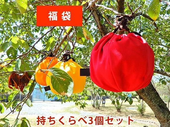 【2019幸運袋】水果束口袋【小】與Hold持相比 第1張的照片