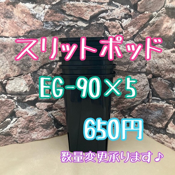 5個 ロング スリットポット Eg 90l Slitpot プラ鉢 多肉植物 サボテン Turborecordings