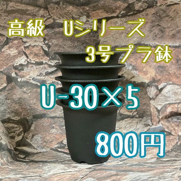 U 30 5個 高級 プラ鉢 3号 U 30 丸鉢 ミニ鉢 黒 フラワー リース Plants Bomb 通販 Creema クリーマ ハンドメイド 手作り クラフト作品の販売サイト