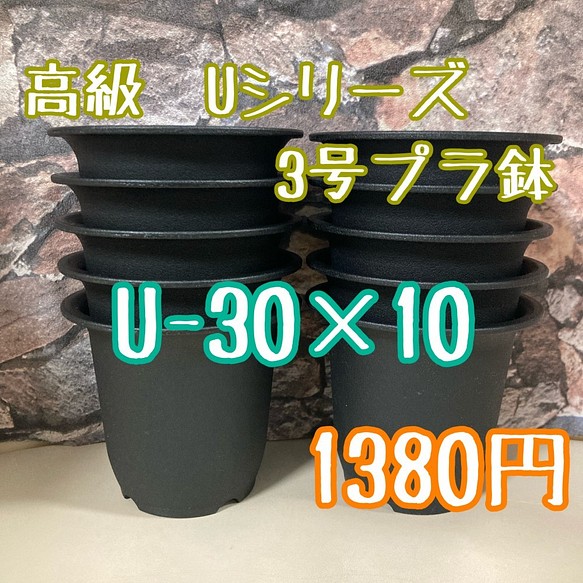 U 30 10個 高級 プラ鉢 3号 U 30 丸鉢 ミニ鉢 黒 フラワー リース Plants Bomb 通販 Creema クリーマ ハンドメイド 手作り クラフト作品の販売サイト