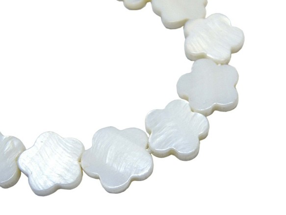 貝殼珠花卉類型五個瓣花白色大10件[AFP]殼71 第1張的照片