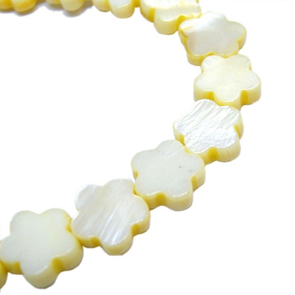 貝殼珠花型黃色五個瓣花小10件[AFP]殼72Y 第1張的照片