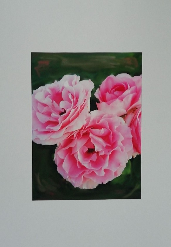 6. pink roses【額なし】 インクジェット印刷　厚手マット紙使用　２Lサイズ 1枚目の画像