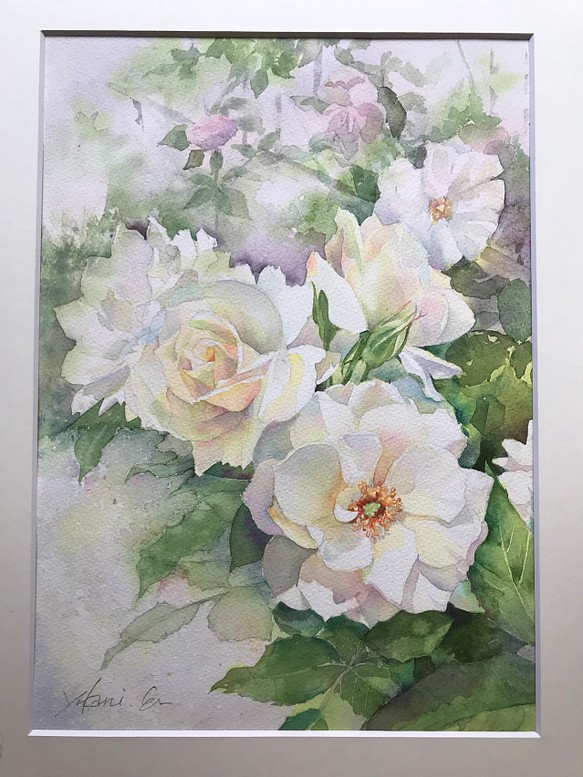 白薔薇の水彩画 クリアランス