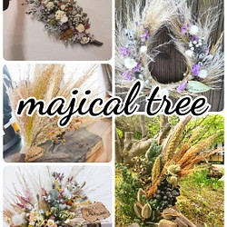 魔法の木　magical tree 1枚目の画像