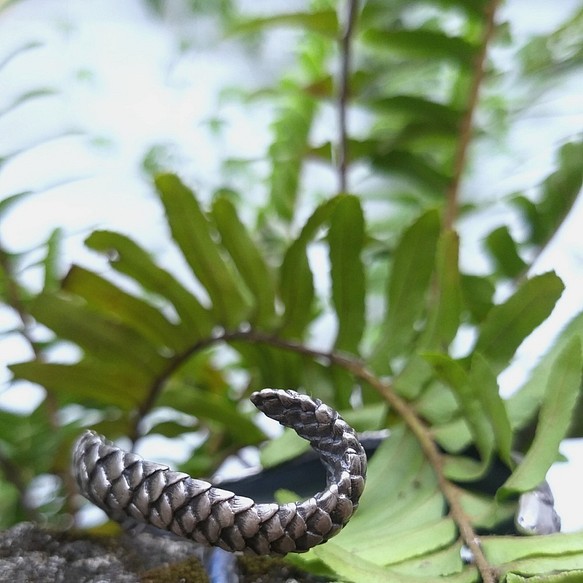 台湾絶滅危惧種】台湾マキコイ台湾パンゴリンオープンスターリング