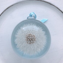 たんぽぽ綿毛のガラスドーム ブルー　L 1枚目の画像