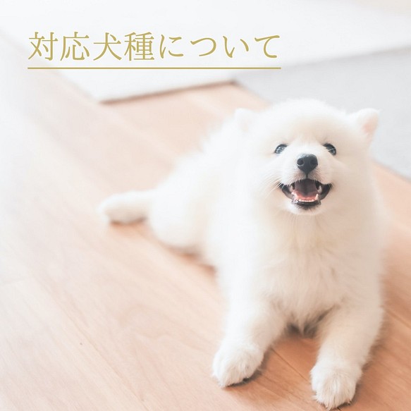 ◉犬種のシルエット対応について