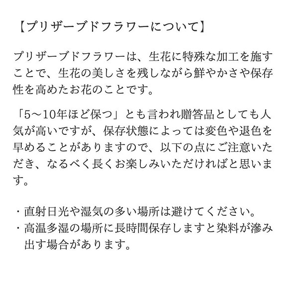 花と犬》ダックス（ワイヤーヘアード）のシルエットとプリザーブド