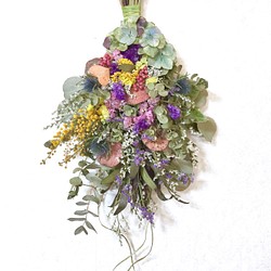 【再販、受注制作】ユーカリとリューカデンドロン&紫陽花とミモザのサマースワッグ 1枚目の画像