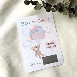【2枚セット】クマのジェンダーリビールカード　2枚セット　テディベア　性別発表　ジェンダーリビール　男の子　女の子 1枚目の画像