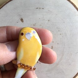 景泰藍胸針C4“虎皮鸚鵡”（什麼糖果） 第1張的照片