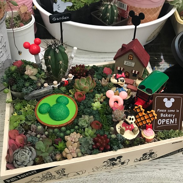 箱庭風 多肉植物寄せ植え フラワー リース まぁちゃん 通販 Creema クリーマ ハンドメイド 手作り クラフト作品の販売サイト