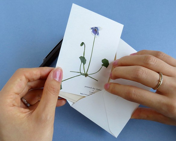 【送料無料】押し花のカード(ツタスミレ） 1枚目の画像