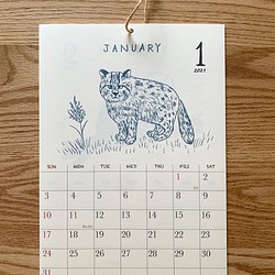 2021絶滅危惧種カレンダー　壁掛けタイプ（日曜始まりと月曜始まり選べます♪） 1枚目の画像