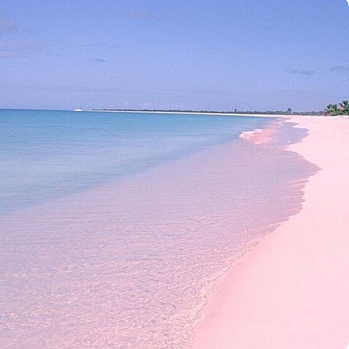 ピンクサンドビーチ 海のアートパネル F4 レジンアート 砂なし 横 