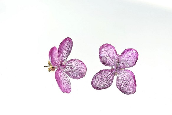《植物染》 葉脈繡球花耳環【紫檀染】· 14kgf 《可替換耳環》 第1張的照片