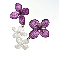 《植物染》 葉脈繡球花系耳環【紫染】· 14kgf 《可替換耳環》 第1張的照片