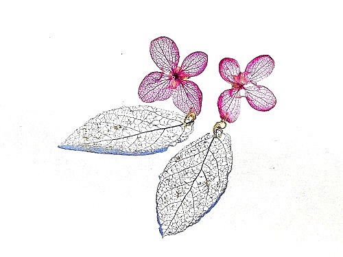 【定做】《植物染色》葉脈繡球花邊耳環（天然青金石染色）・14kgf《耳環收貨》 第1張的照片