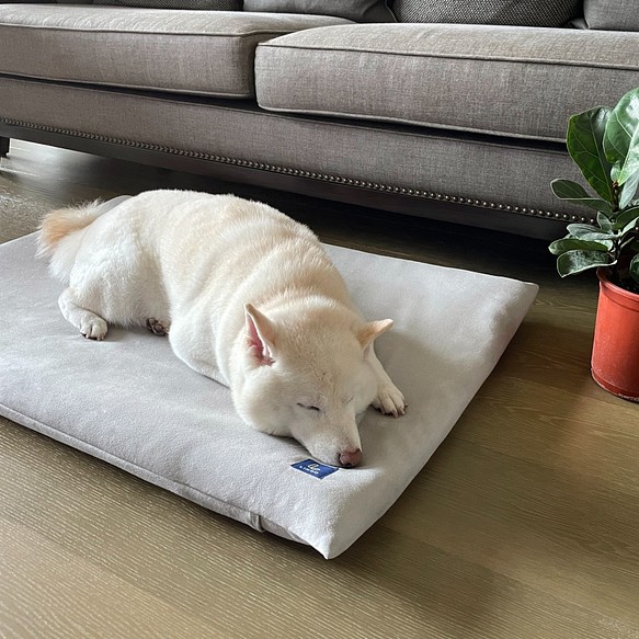 LINGO 3D透氣寵物睡墊 (L) 第1張的照片