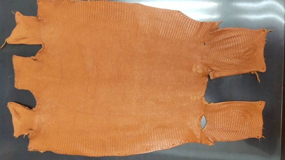 リザード　トカゲ　革　希少色　32センチ　大きめ　一点もの　小物用　エキゾチックレザーc-6 1枚目の画像