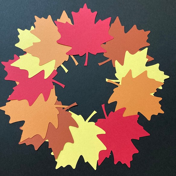 秋の落ち葉シリーズ　プラタナス 100枚 1枚目の画像