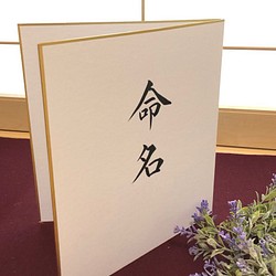 命名書 【*二つ折り色紙ver】筆文字 色紙命名書 略式命名書 赤ちゃん