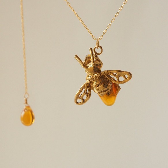 西洋ミツバチとハチノス 1枚目の画像